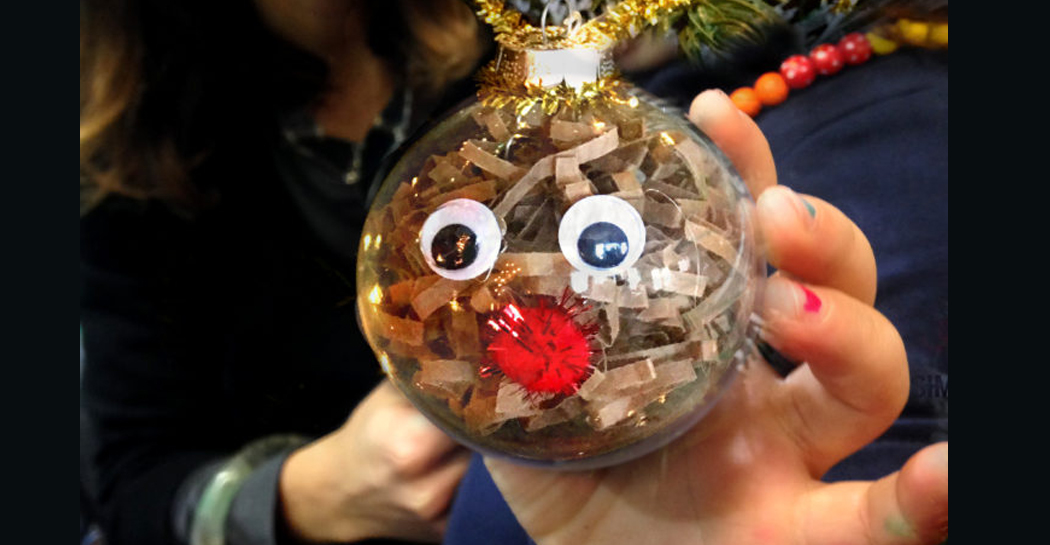 Una delle decorazioni natalizie realizzate nello zoolab al Museo Civico di Zoologia Una delle decorazioni natalizie realizzate nello zoolab al Museo Civico di Zoologia