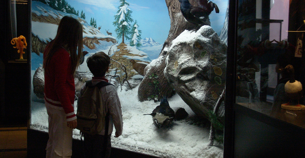 Museo-game “Un salto nel buio” Museo-game “Un salto nel buio”